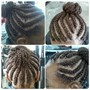 Starter locs(coils)