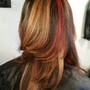 Allover haircolor highlights bright color add on