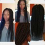 Havana twist  16 inches