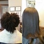 Root Touch Up