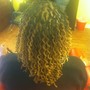 Queen Tiye Henna Root Touch Up