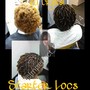 Children's Starter Locs (Comb Twist)