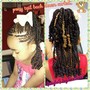 Kids Braided  ponytail