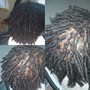 dreadlock start