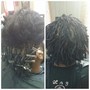 Root Touch Up