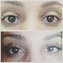 Brow Wax + Tint