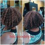 Dreadlock Color