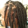 Feed-In/Stitch Braids