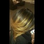 Highlights