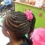 Braids/ twists