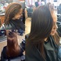 Root Touch Up