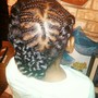 feeder braids