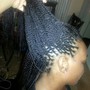 Feed-in Braids