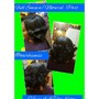 Natural Perm Rods