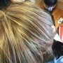 Color Root Touch Up(no foils)