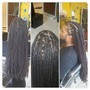 2 locs in each twist for short to mid back length