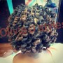 Goddess Braids calf length