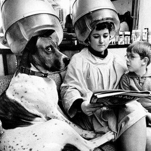 Cristan Vergottini - Cohen