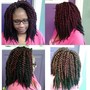 Two-Strand Twists W/Shampoo/blowdry