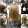 Root Touch Up