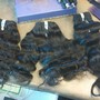 Human Hair For Sale (Indian)