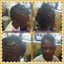 Single Braids or Two Hand Twist Style (Wet or Dry Natural Hair)