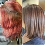 Color Refresh with a Haircut