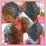 Individual Braids/Twist