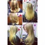 Long hair Shampoo cut, blow dry