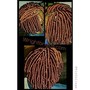 Bohemian goddess locs(midback)