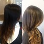 Partial Balayage/ombre with haircut