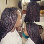 Small Goddess/Gypsy Braids 3-5x Fullness (Bora Braid Inspired)