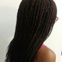 Senegalese Twist / Rope Braids bra length