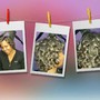 Natural Perm Rods