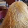 Shampoo with hair extensions