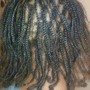 Locs, Weave Braids, or Crochet Style (PinUp Natural or Weave Hair)