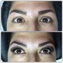 Transitioning brows