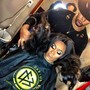 Versatile Sew in