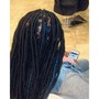 Starter Locs