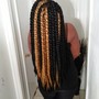 Box Braids large mid back