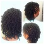 Kinky Twist- Large