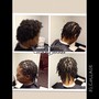 Coils/Comb Twists