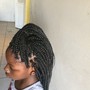 Tribal Braids/ medium