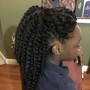 Havana Twist (small)