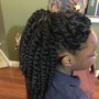 Havana Twist (small)