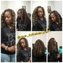 Crochet passion twists w/ illusion individual perimeter