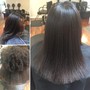 Women's Haircut (Cut only)