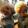 VIP Single process Color/Straighten/Style