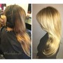 Blow dry with Toner/ Gloss