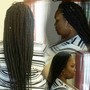 Box Braids(med)shoulder